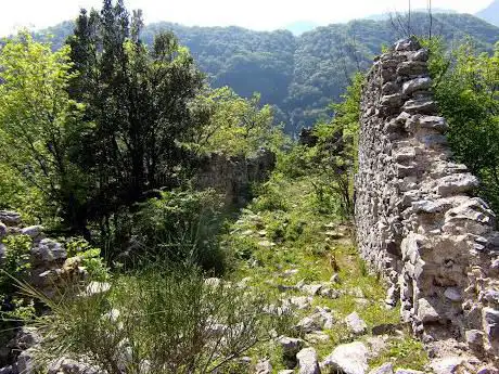 Mandrizzo dei Cancellieri