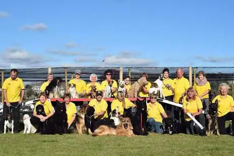 Fair Oak Dog Display Team