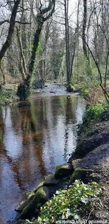 Rivelin Valley Trail - Malin Bridge