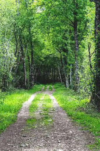 Parcours de randonnée des loudonneaux Saint-Mars-la-Brière