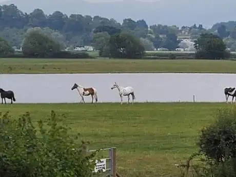 Worcester Riding School