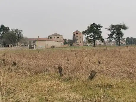 Il Bosco Vivo di Roncajette