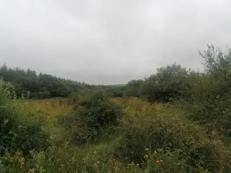 Meresfelle Nature Reserve