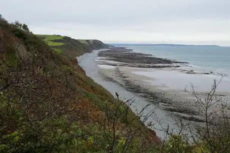 Peppercombe Beach