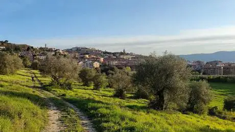 Belvedere degli ulivi e della cittÃ  di Perugia