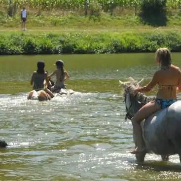 Horse Farm Au Paradis Des Chevaux