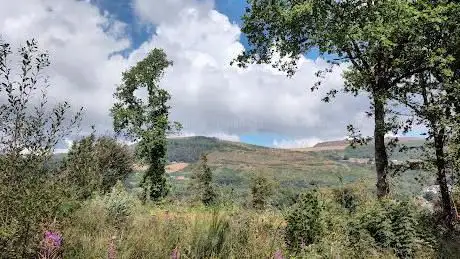 Llwyn Hir Forestry Walk