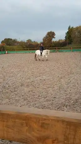 Daisy Bank Farm