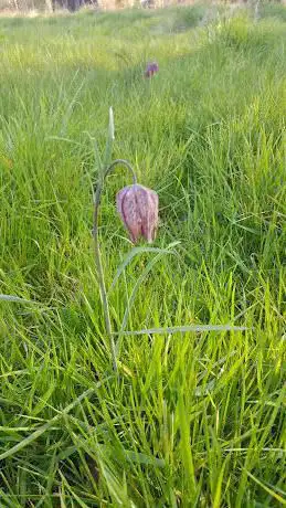 Washbrook Meadows Retreat