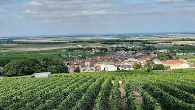 Point de vue du Mesnil sur Oger