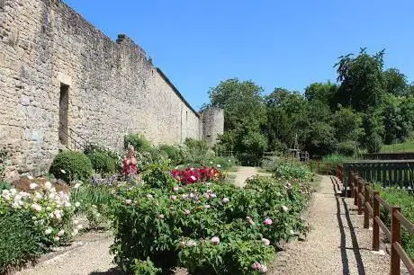 Médiéval de Rodemack Garden