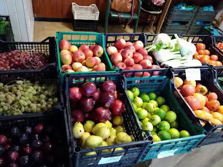 Azienda Agricola Biologica Foresi Massimo