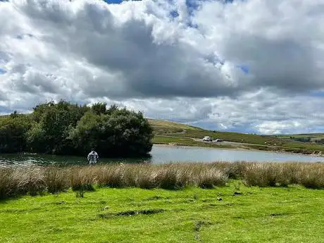 Cefn Golau Pond