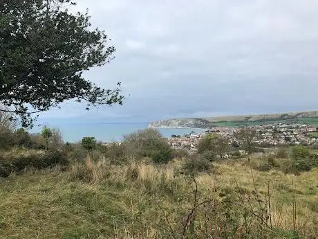 Townsend Nature Reserve