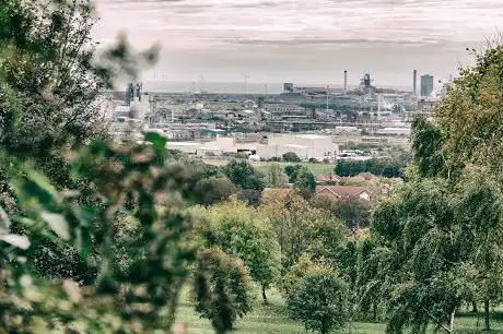 Dave's Wood & Lazenby Bank Nature Reserves