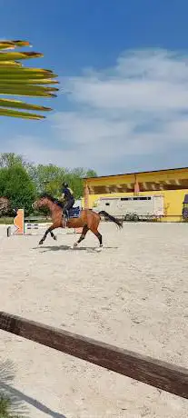 Equestrian Center Belloli A.s.d