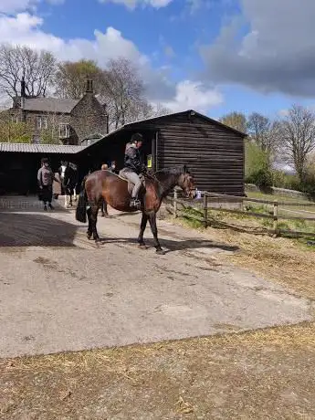 Spring Paddock