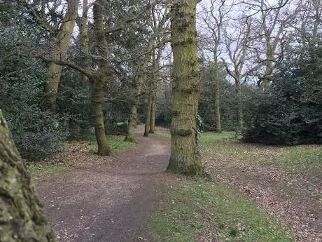 Lexden Earthworks (Triple Dyke)