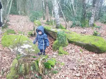 Dolmen de Trebrun