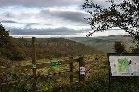 Melbury Abbas nature reserve