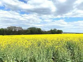 Chemin Royal de Villepreux