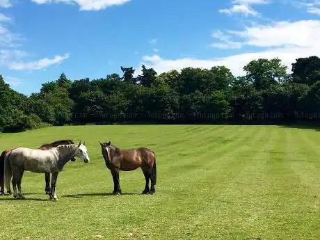 Slough Farm Livery