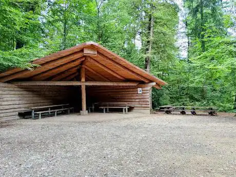 Waldhütte Feuerstellen