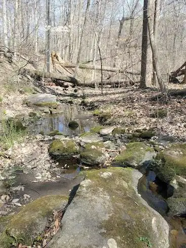 Bellaire Woods Nature Preserve