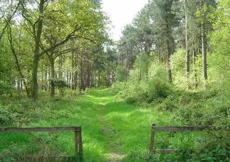 Allerthorpe Common