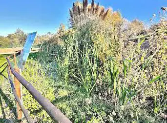 Mare réservoir de biodiversité