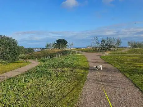 Southern Grasslands