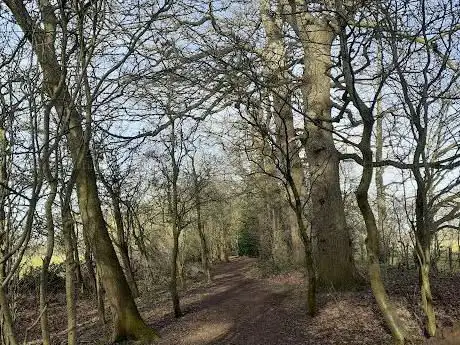 Beningbrough River Walk