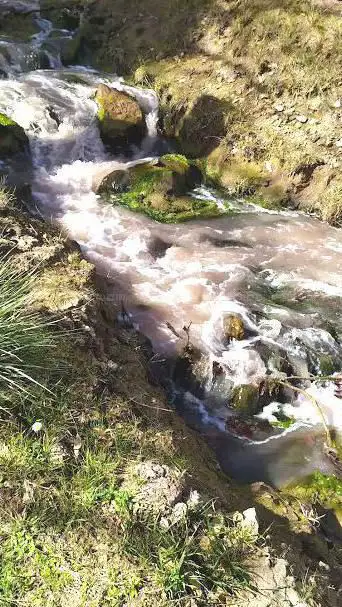 Source De La Sals (Source d'eau salée)