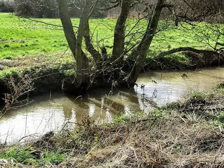 Red Deeps and Wem Meadows