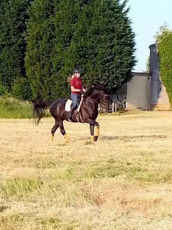 Quendon Dressage & Training Centre