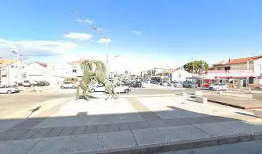 Chevaux de Camargue