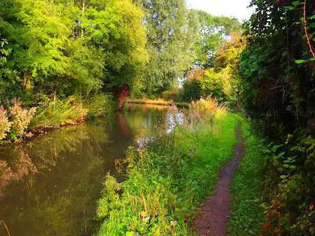 Oxford canal Cathiron lane,Warwickshire