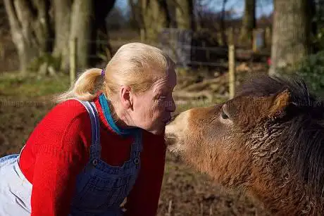 Caspian Horse Assisted Therapy