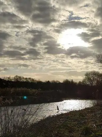 Warwickshire Moor local nature reserve