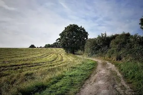 Theydon Bois Earthwork