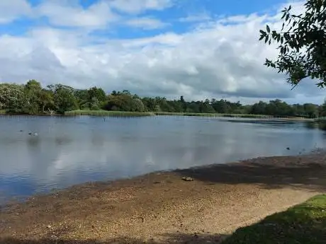 Beaulieu Heath Inclosure