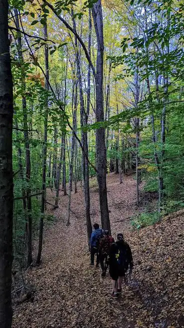 Chester Disc Golf