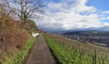 Vue sur le vignoble