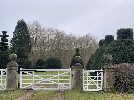 Yew Tree Avenue And Wood