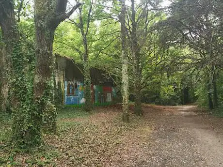 Forêt de Beauregard