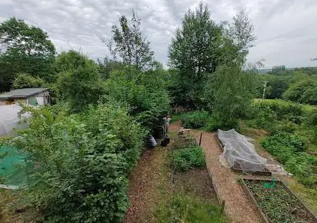 Incredible Edible Prestwich & District - Philips Park site