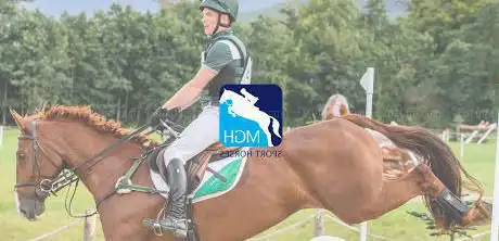 MGH Sport Horse Stud Ltd