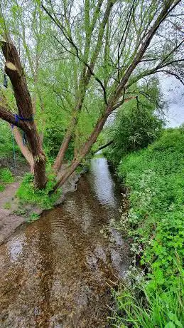 Washbrook Nature Area