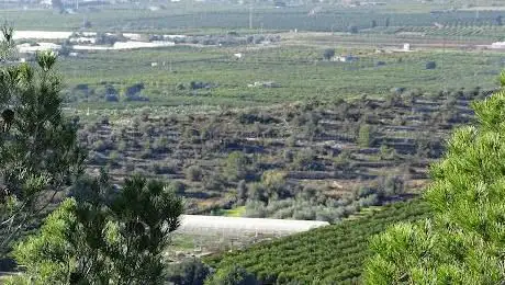 mirador de Borretes