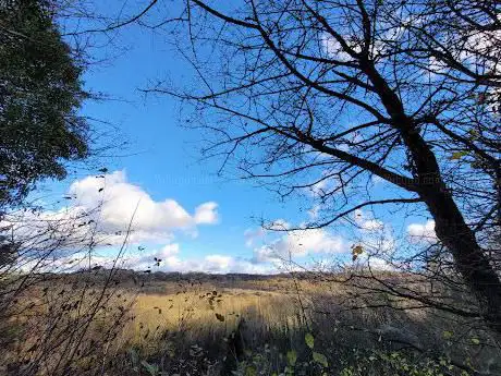 Llynclys Common Nature Reserve